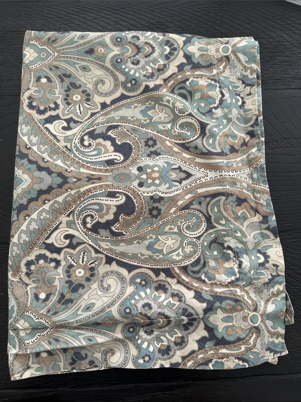 Pottery Barn Mackenna Paisley Pillow Sham x2